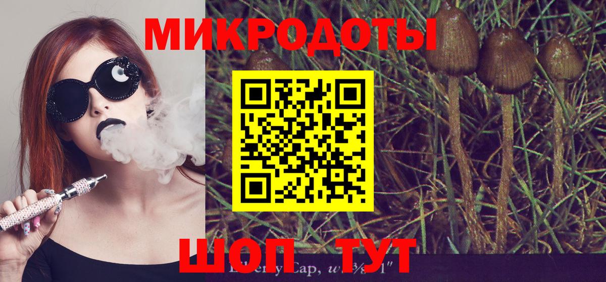 Усть-Илимск  Галлюциногенные грибы GOLDEN TEACHER  Вход с VPN 