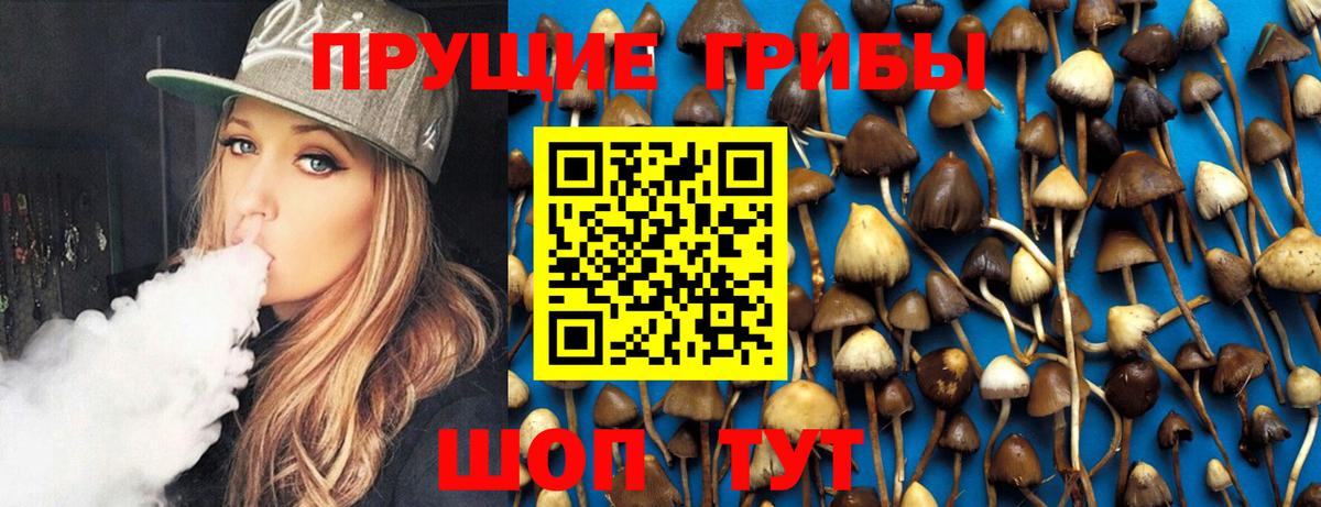 Галлюциногенные грибы Psilocybe Усть-Илимск